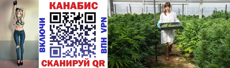 где можно купить наркотик  Щучье  Бошки Шишки SATIVA & INDICA 